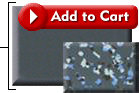 Dark Gray Epoxy Floor Paint
